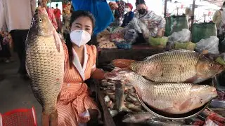 Market show, Buy fish to make soy sauce steam fried fish / Yummy fish cooking