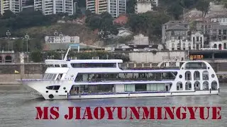 MS JiaoYunMingYue