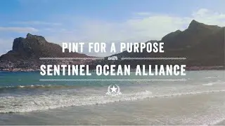 Sentinel Ocean Alliance / Pint For a Purpose