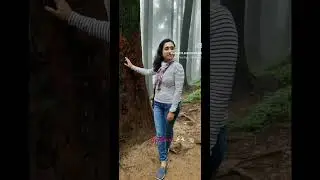 Amidst Nature