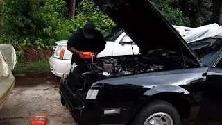 WENT AHEAD AND CHANGED THE THERMOSTAT IN THE BLACK HAVEN LS SWAP REGAL AND&hellip;&hellip;..