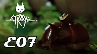 Stray - E07 - Playthrough