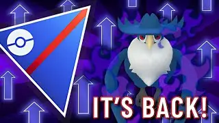 THE BIG BOOM BIRD IS BACK!