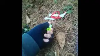 Stalker series part 1