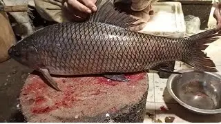 Mastering Big Rohu Fish Cutting: Expert Techniques for Perfect Fillets! 🐟✨