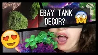 eBay Buy or Bye- Tank Decor and Moss Balls?