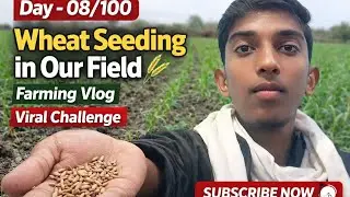 Day &ndash; 08/100 | Wheat Seeding in Our Field 🌾 | Farming Vlog | Viral Challenge #viral #mrbeast comment