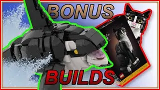 Building an Orca Whale Out of a Tuxedo Cat! | Bonus Builds