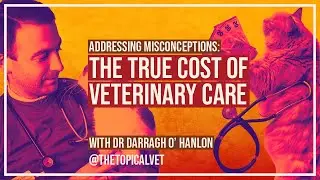 The Cost of Veterinary Care: Addressing Public Misconceptions