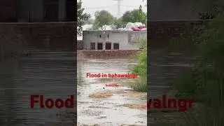 Flood in bahawalnagar #bahawalnagar #river #flood #punjabpakistan