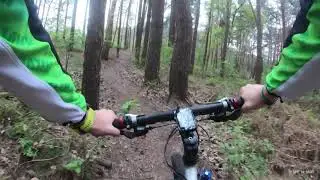 Singletrack Mountainbike ride in Flanders.