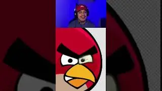 ANGRY BIRDS REALISTA!