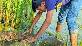 Best Hand Catch Fish 2022 /A boy Catching Fish Rain Water!!