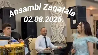 Zaqatala Ansambl Dəniz şadlıq saray 