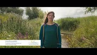 Lebendige Natur in den Altengammer Elbwiesen