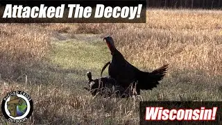Wisconsin Youth Turkey Hunt! Cameron's First Longbeard! #turkeyhunting
