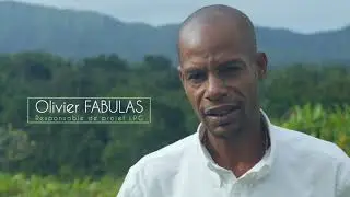 Forêt de Sarcelle en Guadeloupe / Ecosystème forestier et agriculture durable