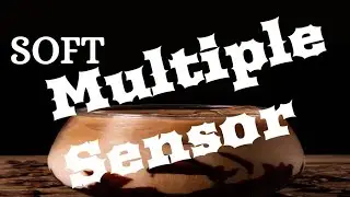 Multiple Sensor