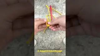 10 Simpul Dasar Vertical Rescue
