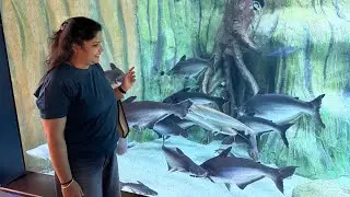 &ldquo;Exploring Science City Ahmedabad | Full Adventure Vlog!&rdquo;🦇🐠🐟
