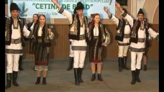 FESTIVAL 