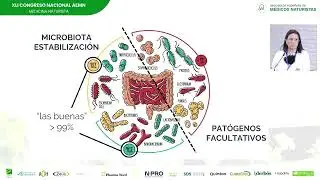 Eje intestino cerebro, vías de conexión y principales disruptores