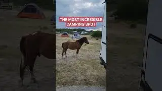 THE BEST CAMPING SPOT, TENT CAMPING ( ASSATEAGUE ISLAND ) Van Life , #camping #horse #offgrid