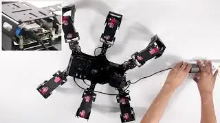 SpiderPi Tutorial--Start SpiderPi