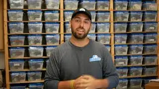 Black Friday Transition Pack Promo