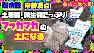 【有機無農薬】害虫,病気に勝つ！土着菌,微生物,全部盛り発酵,土作り｜土壌改良｜