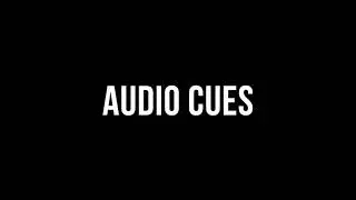 GO Audio Cues