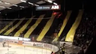 Gulsvart Ultras 2010/11