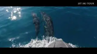 BEST ACTIVITIES WITH TOP JET & TOP QUAD MOOREA