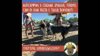 Agricamping area sosta camper pet friendly a Cologna Spiaggia (TE)