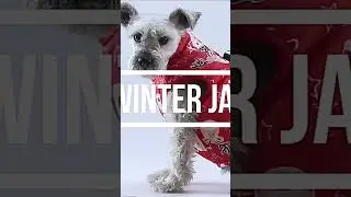 Winter Warm Dog Clothes