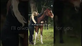 &bdquo;I&lsquo;ll always look out for you&ldquo; ❤️ #equestrian #pferdeliebe #fohlen #pferde