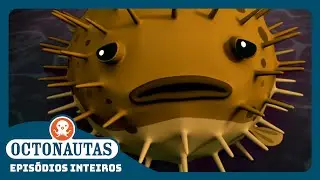 Octonautas - 🐡 O Baiacu Porco-espinho 🐋 | Episódio inteiro 9 | Segunda Temporada
