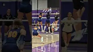#utepvolleyball #gcuvolleyball #volleyball #volleyballworld #lopesup #utepminers #phx #volleyball