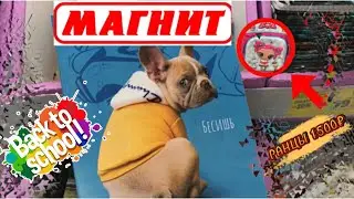 Всё для школы в МАГНИТ 🎒СКИДКИ НА КРАСИВЫЕ РАНЦЫ ЗДЕСЬ 👉🏼