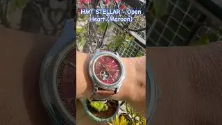HMT Stellar - Open Heart #itsswatchtime #hmtwatches #hmtstellar #hmtautomatic #watchuseek