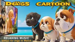 Dog Cartoon: Relaxing & Stress Relief Videos for Dogs to Watch | Calming Music for Dogs & Dog Videos