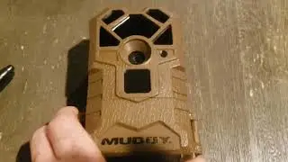 quick efficient  way to camouflage a trail camera