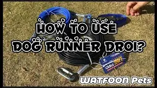 How to use WATFOON Dog Runner DR01?