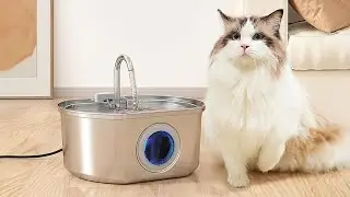 Cat Water Fountain