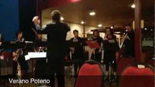 Saxalot Nieuwjaarsconcert Zwartemeer