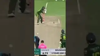 funny 🤣🤣🤣🤣 cricket commentary #youtubeshorts #pakistan #cricket #viral