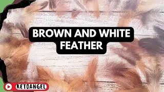 The Spiritual Meaning of Brown and White Feathers