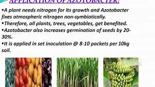 BIOFERTILIZER AND ITS TYPES