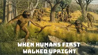 When The First Humans Walked Upright
