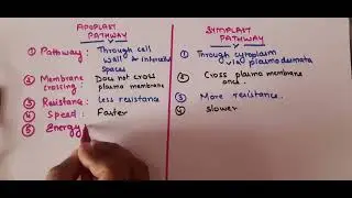 Pointwise differences between Apoplast vs Symplast Pathway #biologybasics #biology #neet #aiims 